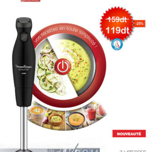 Mixeur Plongeant Moulinex Easychef DD451810 – 450W, 2 Vitesses, Lames Zelkrom